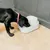 Zwarte hond met rood halsband drinkt uit een witte drinkfontein van het merk Cooper Pet. Geschikt voor huisdieren voor betere toegang tot vers water.
