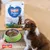 SMØLKE Puppy Maxi Trockenfutter, Hund neben Futternapf und Futterbeutel. Text: feed the love, Complete all-in-one dog food, optimal growth.