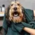 Hund wird mit einem grünen Handtuch abgetrocknet, im Hintergrund Pflegeprodukte sichtbar.