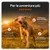 Cane con punti salienti del prodotto: antenna XL copre il 99% dell'area, batteria resistente fino a 3 settimane, torcia LED ultra-potente per la visione notturna. Cane con punti salienti del prodotto: antenna XL copre il 99% dell'area, batteria resistente fino a 3 settimane, torcia LED ultra-potente per la visione notturna.