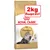 Συσκευασία Royal Canin Persian Adult με εικόνα γάτας και ένδειξη '2kg δωρεάν!' σε κόκκινο πλαίσιο. Ορατό το όνομα προϊόντος και η προσφορά στη συσκευασία.