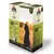 Acana Cat Premium Paté, 8 x 85 g - Jagnięcina