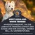 West Highland White Terrier. Maßgeschneidert, um die lebhafte Persönlichkeit der Rasse und ihr dichtes, weißes Fell zu unterstützen. Auch geeignet für Scottish, Cairn und Welsh Terrier sowie Zwergschnauzer.