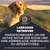 Labrador Retriever. Maßgeschneidert, um die aktive Natur der Rasse und ihre körperliche Verfassung zu unterstützen. Auch geeignet für Curly Coated Retriever und Chesapeake Bay Retriever. Labrador Retriever. Maßgeschneidert, um die aktive Natur der Rasse und ihre körperliche Verfassung zu unterstützen. Auch geeignet für Curly Coated Retriever und Chesapeake Bay Retriever.