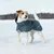 Kleiner Hund trägt einen blauen Mantel mit sichtbarem Markenaufdruck „rukka“ im Schnee. Kleiner Hund trägt einen blauen Mantel mit sichtbarem Markenaufdruck „rukka“ im Schnee.