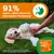 91% sagten: 'Mein Hund hat eine bessere Verdauung'. Zesty Paws Probiotika Kau-Snacks. Umfrage mit 61 Hundebesitzern, getestet über 45 Tage in zwei Phasen. 91% sagten: 'Mein Hund hat eine bessere Verdauung'. Zesty Paws Probiotika Kau-Snacks. Umfrage mit 61 Hundebesitzern, getestet über 45 Tage in zwei Phasen.