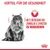 Texte en allemand : Vorteil für die Gesundheit. Hilft, die Bildung von Zahnbelag & Zahnstein zu reduzieren. Illustration d’une dent et photo d’un chat à poils longs.