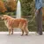 Hund mit beigem Geschirr und Leine, geführt von einer Person in Jeansjacke, stehend vor einem Brunnen im Park.