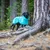 Svart hund i skogen bär en ljusblå jacka, lämplig för utomhusaktiviteter i svalt väder.