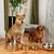 Dos perros junto a comederos de acero inoxidable con pienso, se ven varios tamaños. Al fondo, sala de estar con plantas y cama para perro.