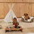 Hund trinkt aus erhöhtem Holznapf mit zwei Edelstahlschalen. Im Hintergrund Hundebett mit Zebramuster und weißes Tipi-Zelt.
