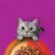 Whiskas Duo in buste Pacco misto 48 x 85 g Alimento umido per gatto Whiskas Duo in buste Pacco misto 48 x 85 g Alimento umido per gatto