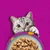 Whiskas Tasty Mix 48 x 85 g