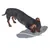 Chien noir reniflant un jouet en tissu gris avec corde blanche, forme ovale. Jouet posé au sol, aucun texte ou marque visible.