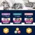 Eukanuba Katzenfutter. Junior 1-12 Monate, Erwachsen 1-6 Jahre, Senior ab 7 Jahre. Premium Paté mit hohem Proteingehalt. Icons: Huhn, Rind, Schwein.