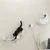 Gatto nero che si arrampica su una parete attrezzata con amaca, pali tiragraffi e cuccia semicircolare.