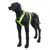 Zwart hondenmodelbeeld met neon groene nylon tuig, verstelbaar met metalen ringen en gespen.