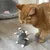 Chat roux reniflant une souris en peluche grise avec oreilles et pattes roses, posée sur un sol en bois clair. Jouet pour chat visible au premier plan.