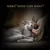 SHEBA WHAT CATS WANT. A grey cat is being stroked under the chin and appears relaxed.