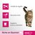 Perfect Fit Adult 1+ Riche en saumon