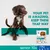 Perfect Fit senior 10+ <10 kg, crocchette per cani, confezione da 1,4 kg, visibile scritta 'YOUR PET IS AMAZING, KEEP THEM THAT WAY', indicato per cani anziani di piccola taglia.