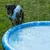 TIAKI Splash Piscină câini