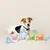 Edgard & Cooper nourriture humide pour chiens en quatre variétés : canard & poulet, saumon & cabillaud, agneau & bœuf, poulet & dinde. Emballages avec designs colorés et illustrations d’animaux.