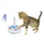 Spielzeug für Katzen mit blau-weisser Basis, Federanhänger und Ball. Katze interagiert mit dem Spielzeug.