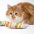 Gato rojo con dos cojines de juego multicolores con estampado chevron, colores: verde, rosa, blanco y dorado.