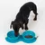Chien noir devant deux gamelles pliables bleues en silicone, l’une remplie d’eau et l’autre de croquettes. Mousqueton visible sur le côté du support.