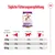 Tableau d’alimentation quotidienne Royal Canin Giant Adult : pour 45 kg, 412–542 g; 75 kg, 604–795 g; 100 kg, 750–986 g selon activité. Texte en allemand.
