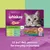 Whiskas Duo Mixed Medley in jelly, 12 portions with pork and tuna, cod and chicken, duck and whitefish, game and turkey. Text: 12 purr-fect portions for everyday enjoyment.