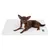 Brown Chihuahua lying on a white dog mat with visible 'Trixie' logo.