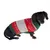 Hund trägt gestrickten Pullover in Grün, Rot und Weiss mit Schneeflocken- und Rentiermuster.