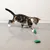 Katze spielt mit grünem Spielzeug auf einem glatten Boden.