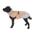 Chien noir portant un manteau beige et gris avec fermeture éclair, boucle noire et logo rond visible sur le côté arrière du vêtement.
