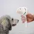 Hand holding white grooming brush with collected pet hair, dog visible in the background.