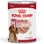 Boîte Royal Canin medium adult, 410 g, pour chiens de 11 à 25 kg. Texte visible : muscle mass support, loaf. Photo d’un chien et pâtée tranchée sur l’étiquette.