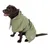 Chien marron portant un manteau imperméable vert clair avec capuche et fermeture à clip, motif patte blanche visible sur le côté arrière du manteau.
