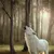 White animal standing in a forest, looking upwards with mouth open as if howling. No product or usage information is shown.