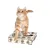 Chat roux debout sur un jouet interactif en bois clair avec plusieurs trous de formes variées visibles sur le dessus et les côtés.