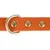 Oranje hondenhalsband met gouden studs en zilverkleurige metalen D-ring.