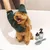 Hund wird mit grünen kooa-Handschuhen gepflegt. Neben ihm stehen kooa-Pflegeprodukte und eine grüne Bürste.