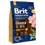 Brit Premium Adult M pour chien - 2 x 3 kg