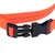 Nahaufnahme eines orangefarbenen Halsbands mit schwarzem Klickverschluss und reflektierenden Streifen.