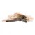 Orecchie di coniglio essiccate con pelo, snack da masticare naturale per cani.