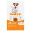 IAMS Advanced Nutrition Senior Small & Medium Dog 8+ mit Huhn - Sparpaket: 2 x 5 kg