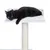 Plateforme pour chat avec coussin blanc et poteau recouvert de corde, chat noir allongé sur le dessus. Matériaux visibles : bois, tissu, corde.