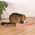 Brown tabby cat scratching a rectangular cardboard scratching board with pink border on wooden floor.