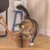 Braunes, wabenförmiges Katzenspielzeug mit integriertem Ball. Katze untersucht das Spielzeug auf einem Holzboden.